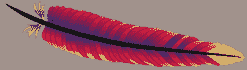 Apache Feather